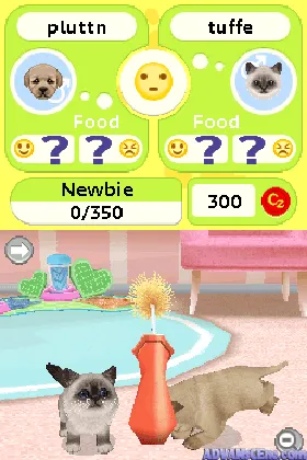 Petz - Puppyz & Kittenz (USA) (En,Fr,Es) screen shot game playing